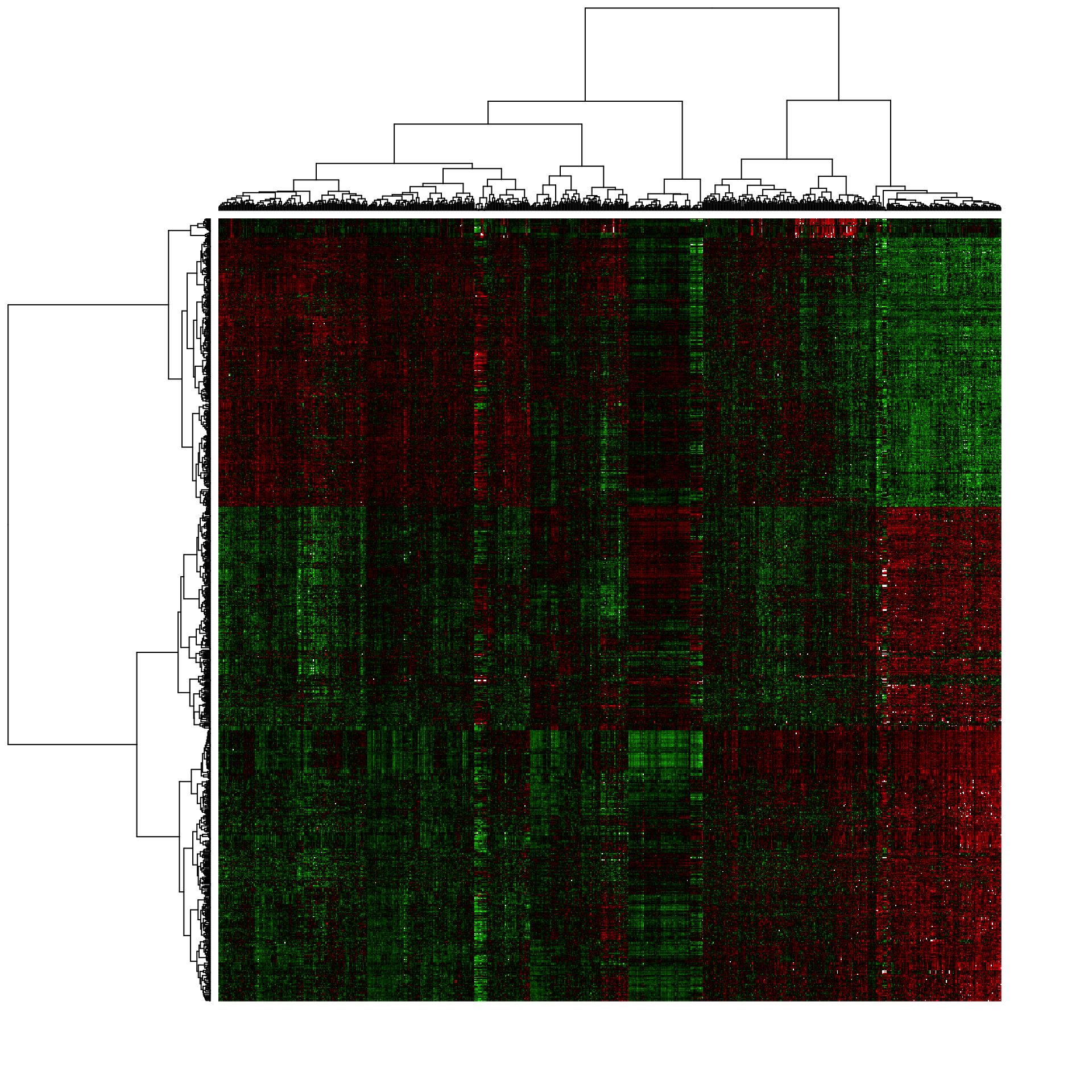 Heat map of the expression matrix clustered by genes (rows) and samples (columns).