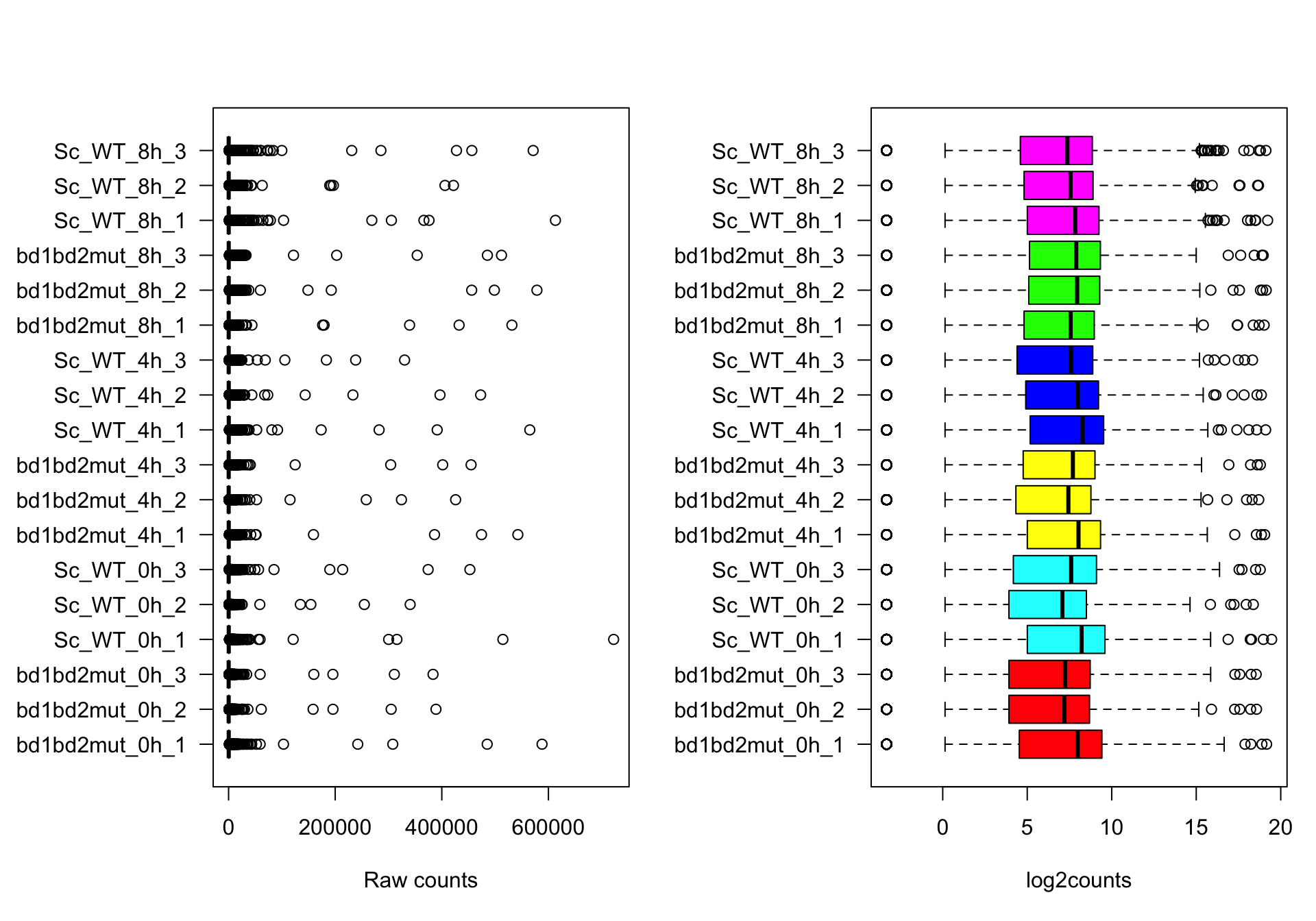 **Boxplot of the counts per gene in each sample.** Left: raw counts. Right: log2_transformed counts. 