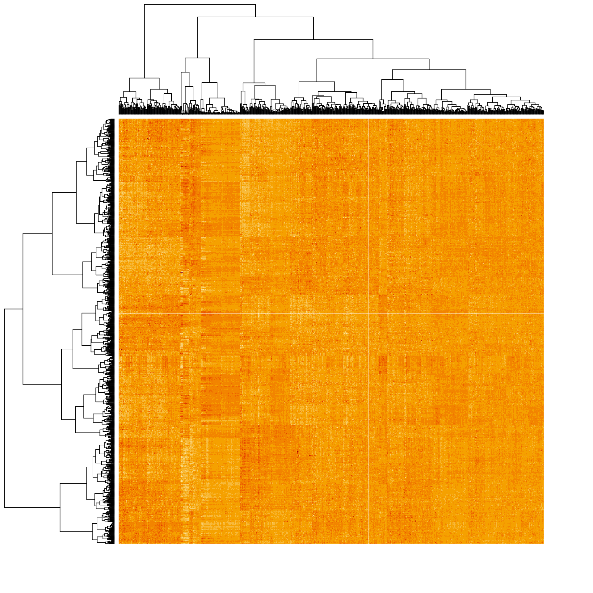 Heat map of the expression matrix clustered by genes (rows) and samples (columns).