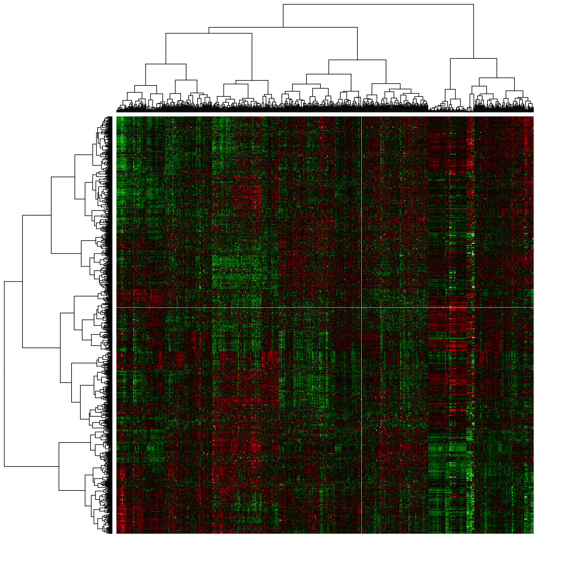 Heat map of the expression matrix clustered by genes (rows) and samples (columns).