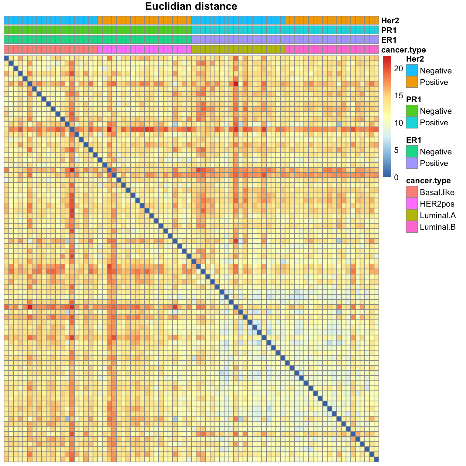 Heatmap of the Euclidian distance